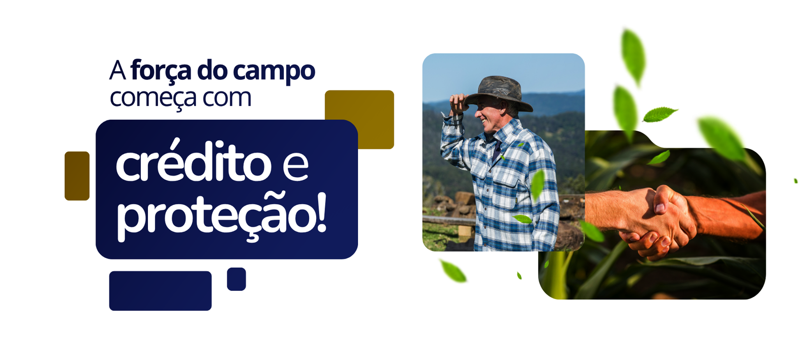1950 x 850 - Banner Site 01-04
